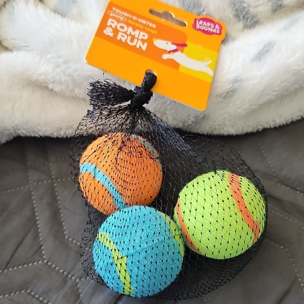 Dog Toy Balls - Orange, Blue, Green